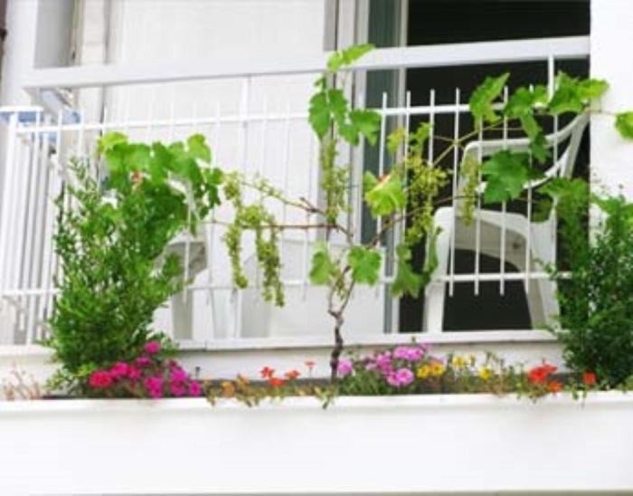 B&B Residence Sorriso Cattolica Eksteriør bilde